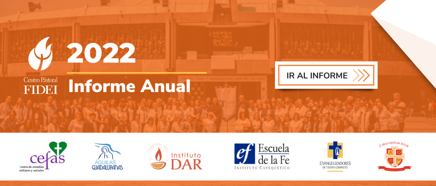 Banner Informe anual FIDEI